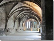 IMG_4900 IMG_4900