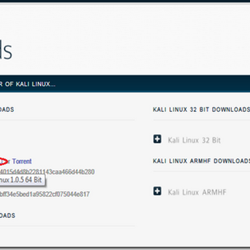 Installing Kali linux using VMware
