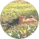 LPS Musics profile picture