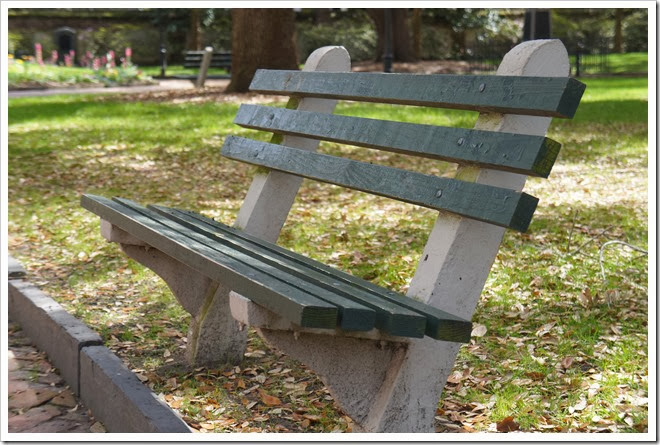 copyright-free-pictures-benches-1 (500)