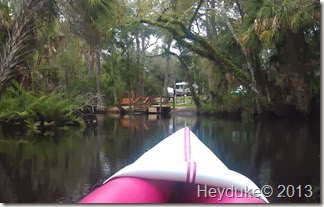 Pellicer Creek Kayaking 019