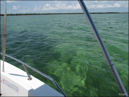 shallow water looks green because of the grassy bottom