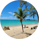 Image Google de pascal le meteil