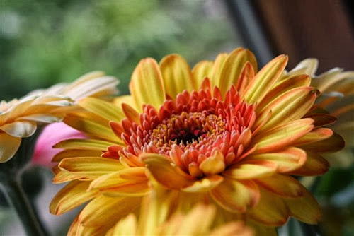 20090510 (2) (Small)