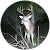 Texas Power Outdoors Texas Power Outdoors