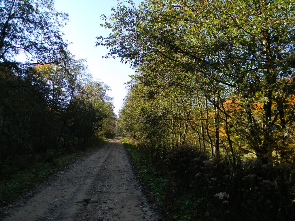 [DSCN67873.jpg]