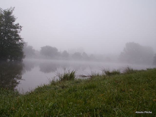 Etang de la tuilerie photo #1052