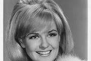 shelley fabres
