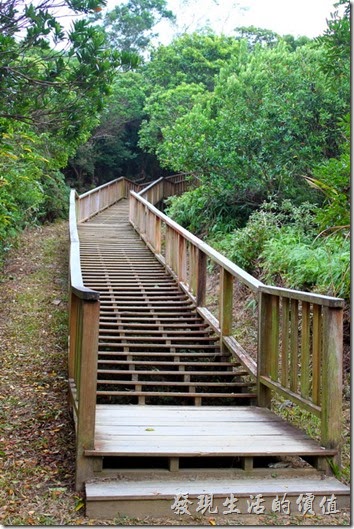 屏東-旭海大草原。牡丹鄉公所在很多地方都建造了這種木梯步道，取代以前用纜繩攀爬的道路，雖然路面變好走了，不過原來的樂趣也不見了。