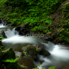 by Martin Marthadinata - Landscapes Waterscapes