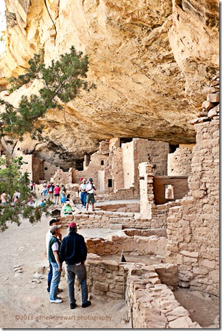 Spruce Tree House cliff dweller ruins photo by Adrienne Zwart
