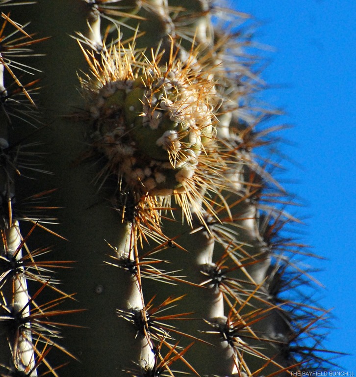 [DSC_8618%255B9%255D.jpg]