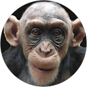 Tom H profile picture