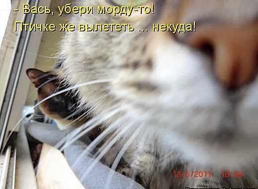 [d3669b985925df8146038f79338_prev%255B8%255D.jpg]