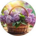 jackie v profile picture