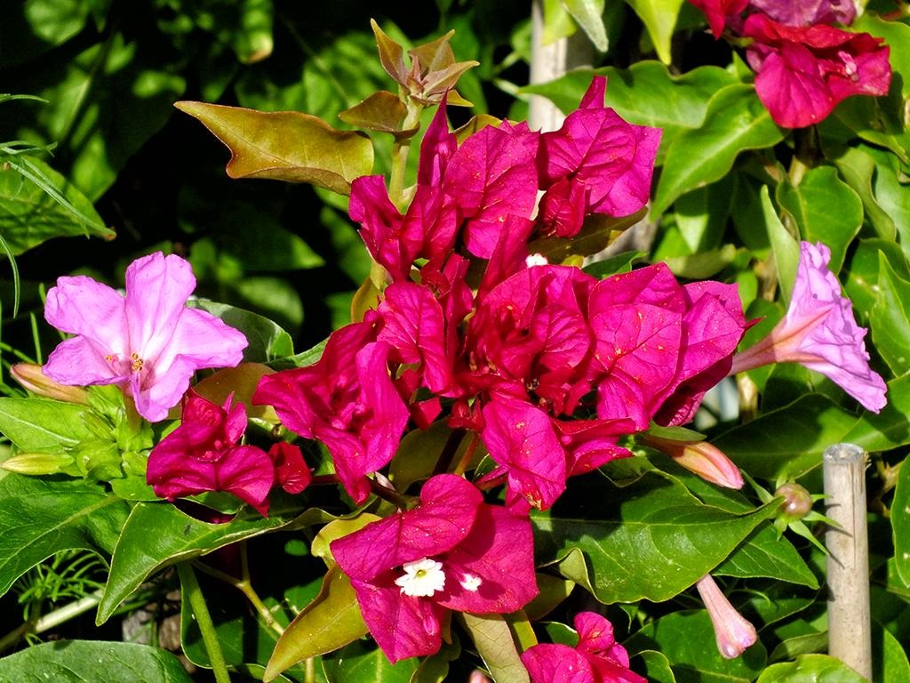 [DSCF8363_re%255B2%255D.jpg]