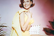 shelley fabres
