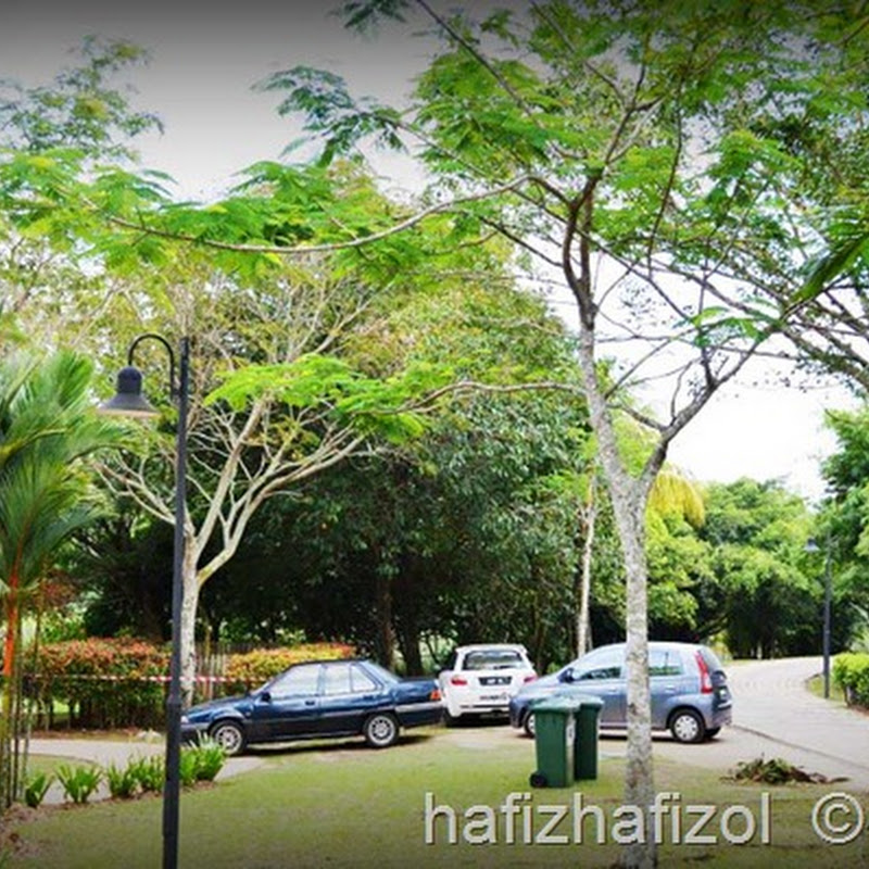 BBQ di Taman Wetland Putrajaya, Picnic di Teluk Kemang,Port Dickson dan Majlis Tahlil di Rembau