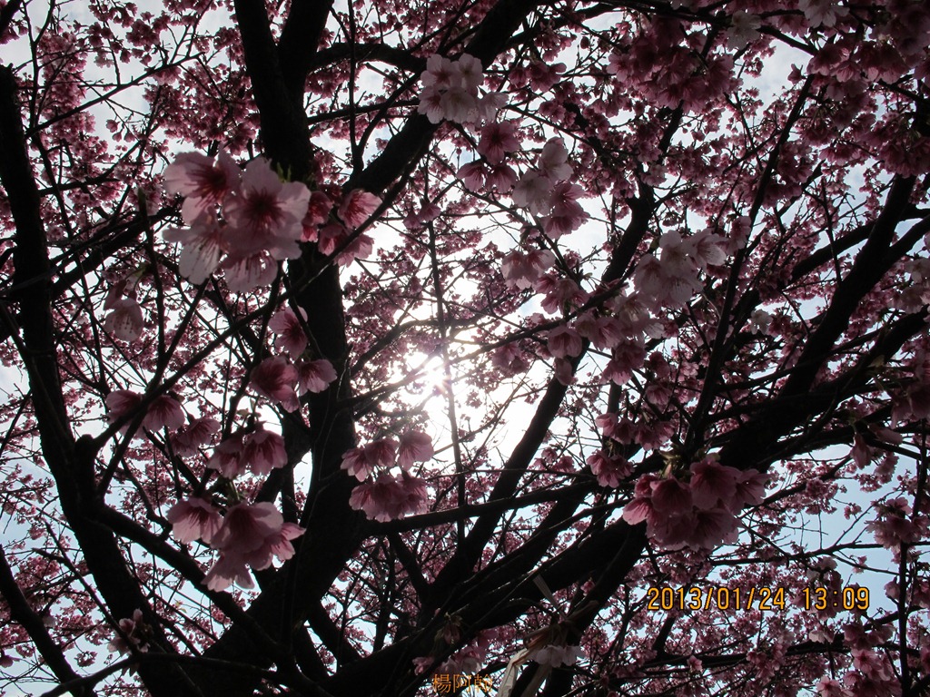 [s%25C3%2581W42%25C3%25B7%25C3%2592%25C3%25BB%2520-%2520131%255B4%255D.jpg]