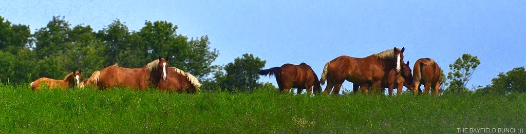 [DSC_0016-001%255B4%255D.jpg]