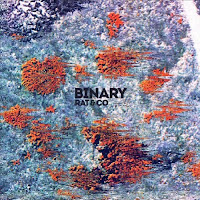 Binary