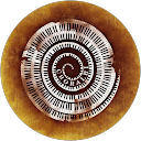 Image Google de Coralie Charrier