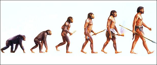 humanismo evolução do homem