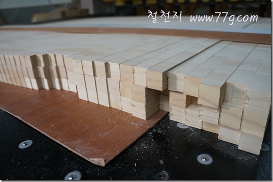 철천지DSC03714-20121109-142705
