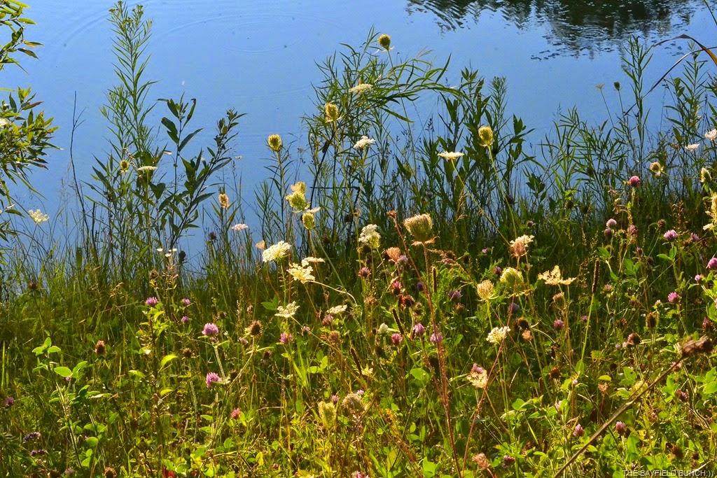 [DSC_0019%255B4%255D.jpg]