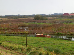 Skjern Au _ Oktober 2012 - 062