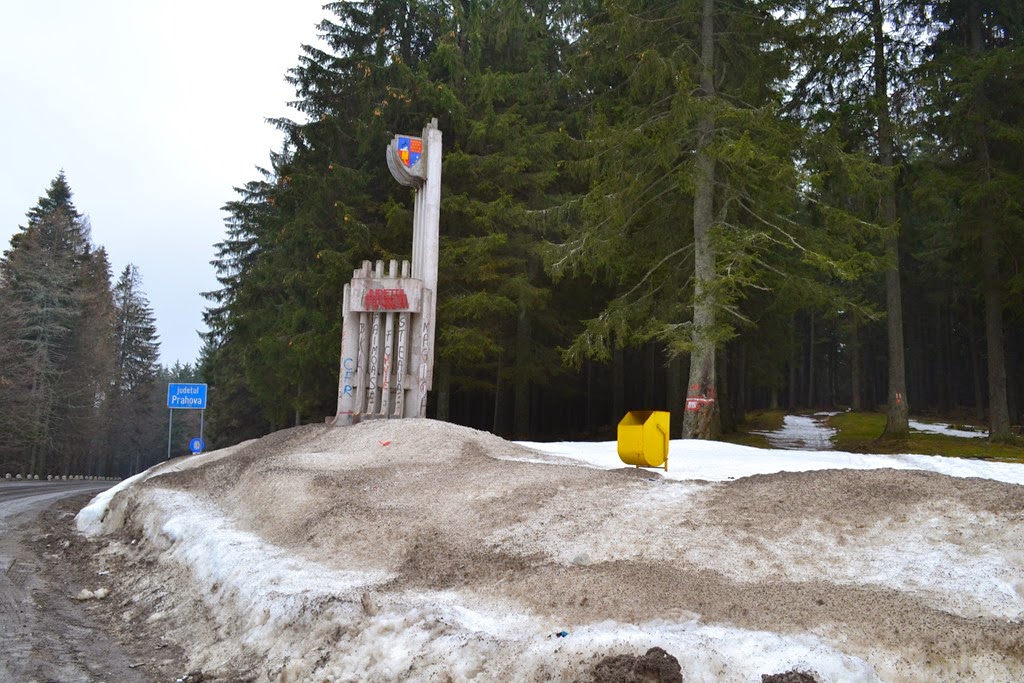 [DSC_39613.jpg]