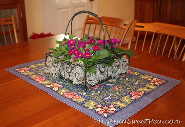 [Primrose3%255B3%255D.jpg]