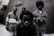 The Roots