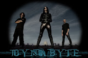 DyNAbyte