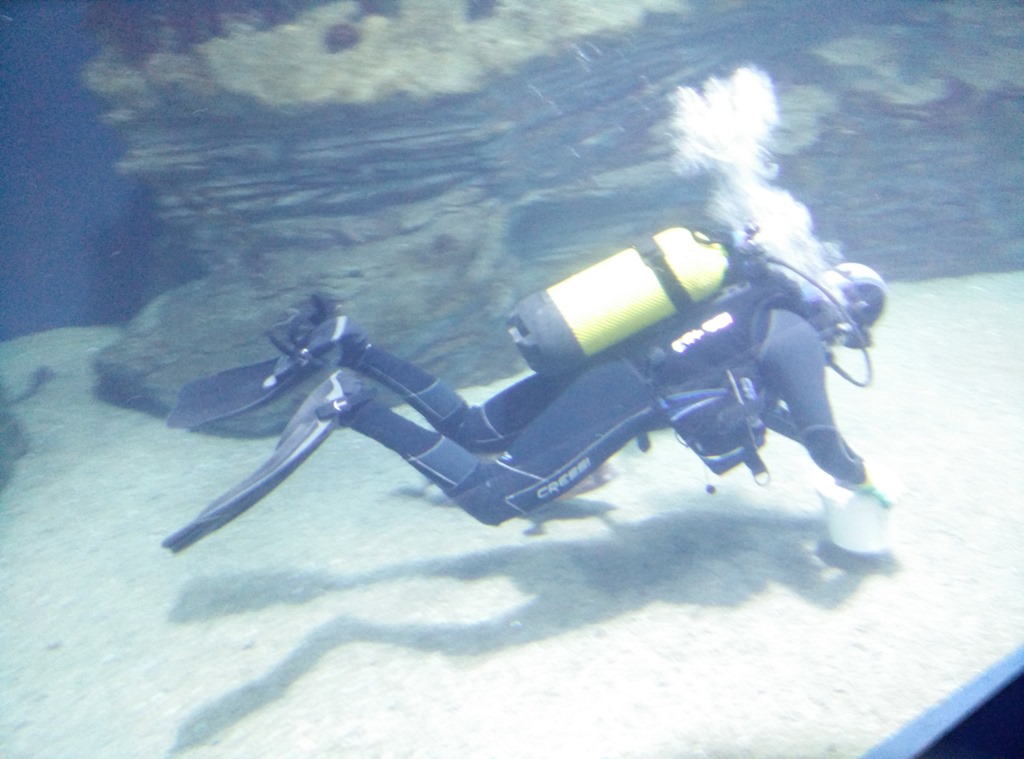 [IMG_20150219_130223%255B4%255D.jpg]