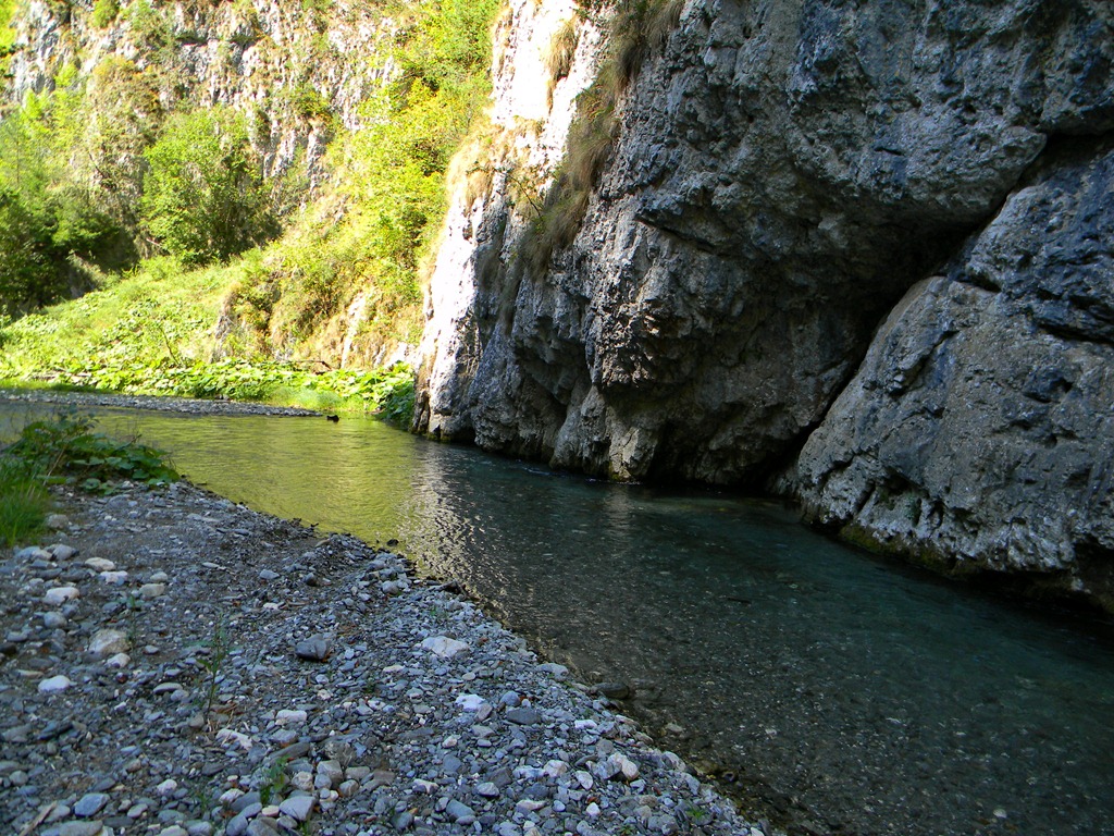 [DSCN49903.jpg]