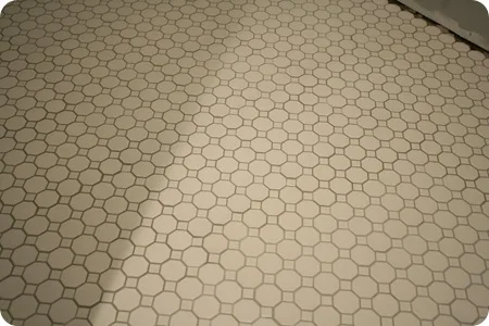 white octagon tile