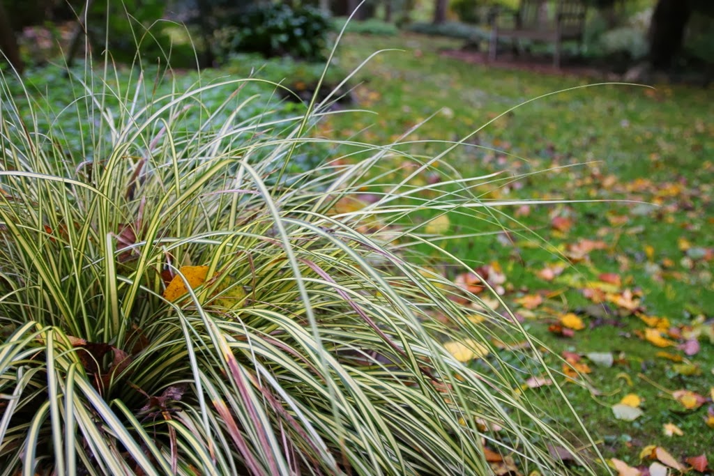 [IMG_9690%255B3%255D.jpg]