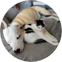 Image Google de Sarah Guebert