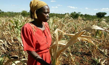 [Zimbabwe-peasant-farmer-008%255B4%255D.jpg]