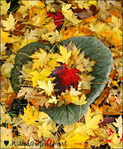 Leaves in a Leaf