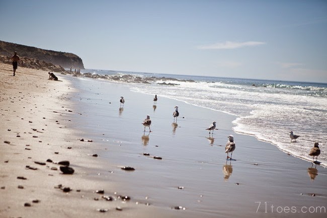 2015-03-13 california 103453 2015-03-13 california 103453