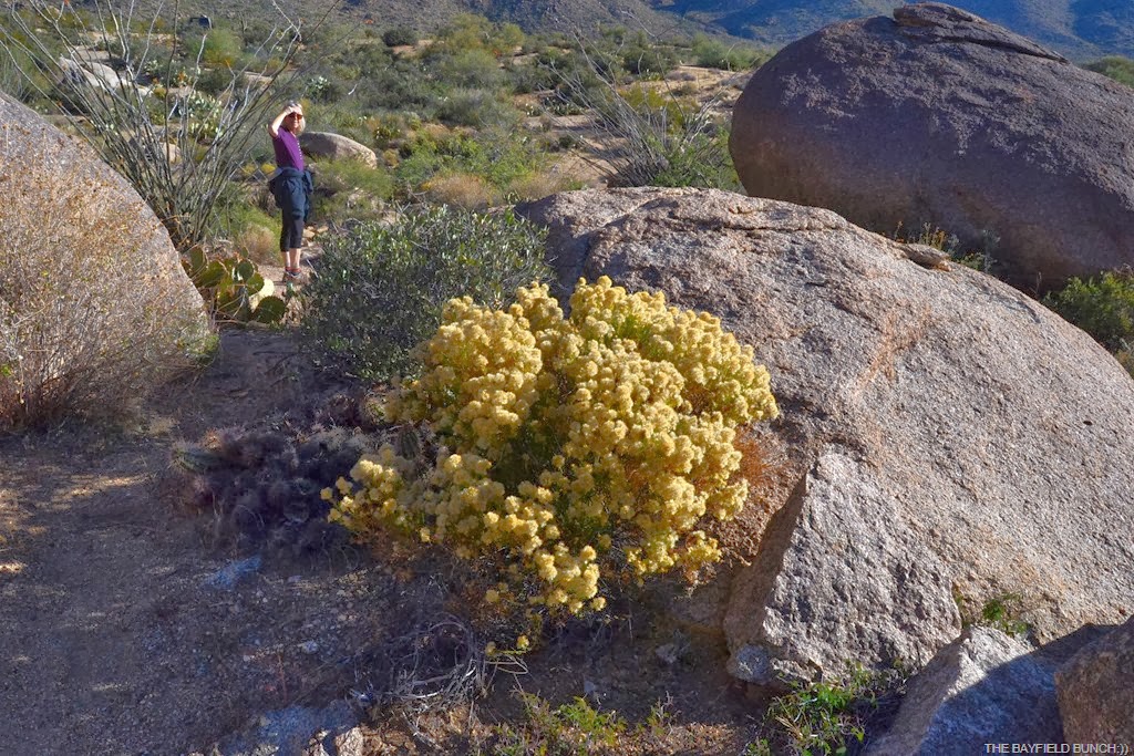 [DSC_0039%255B8%255D.jpg]