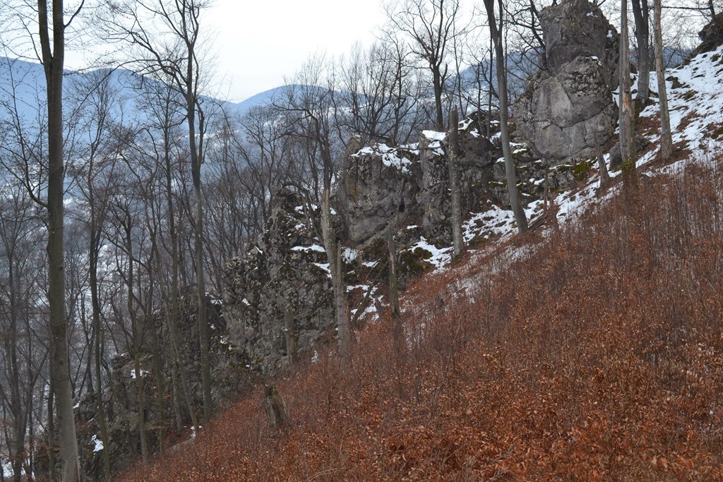 [DSC_25503.jpg]