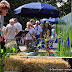 Gartentage Bellheim 2011 - Sonntag - © info@pfalzmeister.de - www.pfalzmeister.de