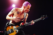 Flea