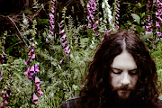 Wolves in the Throne Room