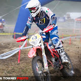 By Alessandra Tommei