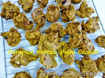 Pumpkin Protein Paleo Cookies