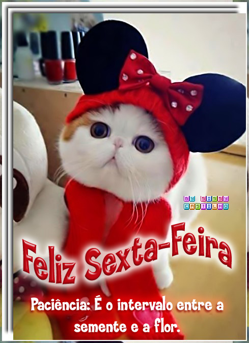 sexta%2520c%25C3%25B3pia.jpg